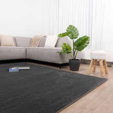 Load image into Gallery viewer, Antraciet Tapijt Effen Laagpolig Vloerkleed Koho Minimalist