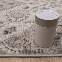 Load image into Gallery viewer, Beige met Grijs Tapijt Bloemen Design Laagpolig Vloerkleed Koho Impressive