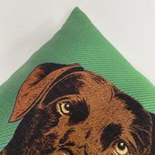 Load image into Gallery viewer, Kussen koho Picasso Dog Power 45x45