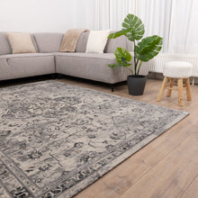 Load image into Gallery viewer, Grijs met Beige Tapijt Vintage Laagpolig Vloerkleed Koho Impressive
