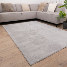 Load image into Gallery viewer, Lichtgrijs Tapijt Wasbaar Laagpolig Vloerkleed met Anti Slip Koho Soft Comfort Wasbaar op 30°
